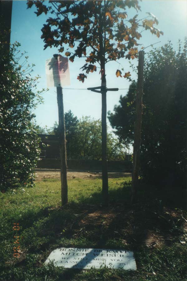 John Dewey High School reunion 2000, tree planting in memory of Mitchel and Bonnie